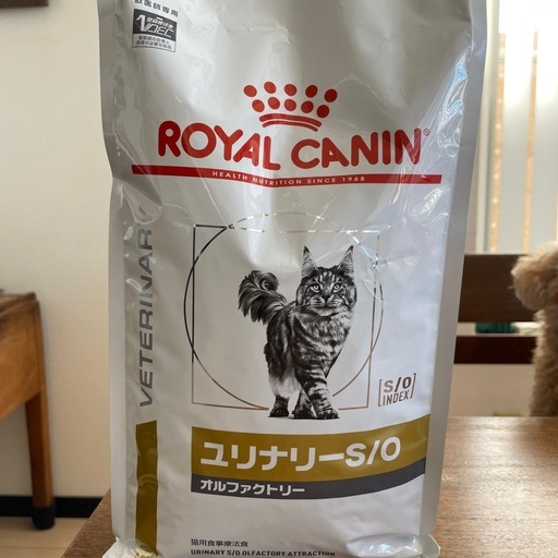 猫用食事療法食　