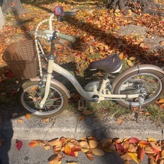 子供自転車16インチ
の画像