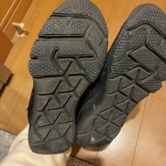 NIKEスニーカー　25cmの画像