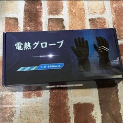 電熱グローブ L 手袋 バイク7.4V12000mAh スキー バッテリー付きの画像