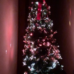 クリスマスツリーの画像