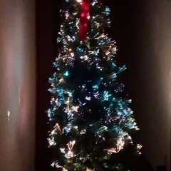 クリスマスツリーの画像