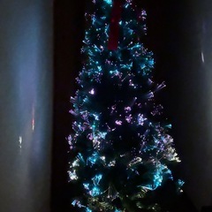 クリスマスツリーの画像