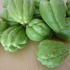 無農薬野菜　ハヤトウリ　1個価格　委託品の画像