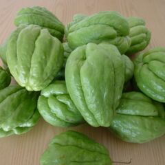 無農薬野菜　ハヤトウリ　1個価格　委託品の画像