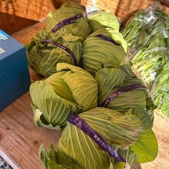 今日きゅうり　あります。100円です。の画像