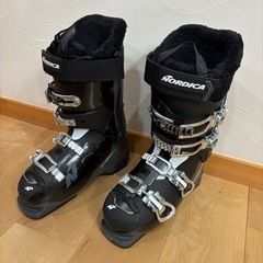 スキーブーツ(ノルディカ)
の画像