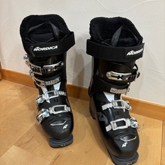 スキーブーツ(ノルディカ)
の画像