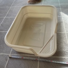 猫トイレの画像