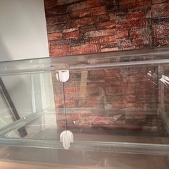 GEXグラスハーモニー600②の画像