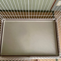 犬　ゲージの画像