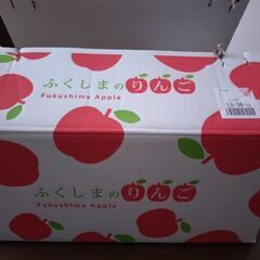 りんご大玉(サンふじ)10個千円【お値引きなし】の画像
