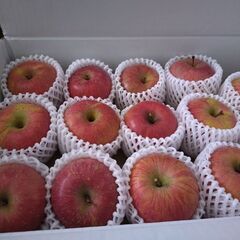 りんご大玉(サンふじ)10個千円【お値引きなし】の画像