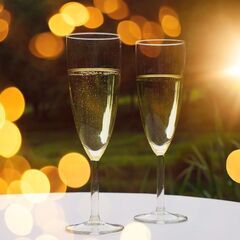 １２月１２日（金）１３：００～ 【平日に少し時間のある紳士男性と...