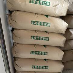 新米 米 コメ 令和７年度産 キヌヒカリ 生産農家 精米 10キロ 10kg 滋賀産 現金払い 引き取り限定 9の画像