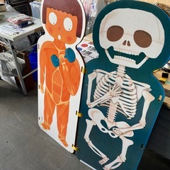 ⭐️本日営業中⭐️激レア⁉︎　保健/食育　等身大パネルの画像