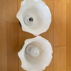 玄関　ローカ電気の画像