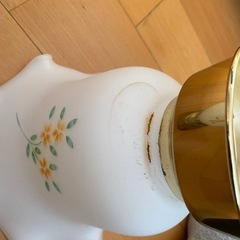 玄関　ローカ電気の画像