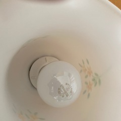 玄関　ローカ電気の画像