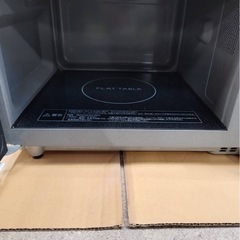 NE-FL1A 2024の画像