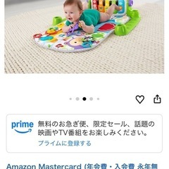 赤ちゃん ベビージム あんよできっくの画像