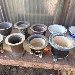 羽蝶蘭に使っていた鉢の画像