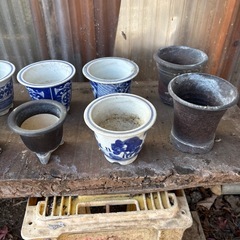 羽蝶蘭に使っていた鉢の画像