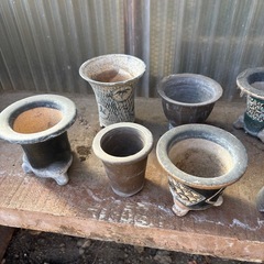 羽蝶蘭に使っていた鉢の画像