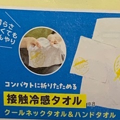 プロテインシェイカーと冷感タオル2枚のセットの画像