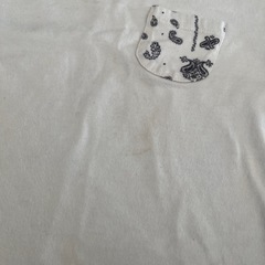 UNIQLOペイズリー柄Tシャツ100cmの画像