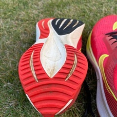 Nike スニーカー
23cmの画像