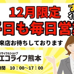 ⭐️本日営業中⭐️お待たせしました！盆栽販売中！¥2,000〜の画像
