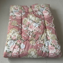 シングルサイズ　掛け布団の画像