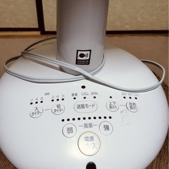 IRIS OHYAMA 扇風機の画像