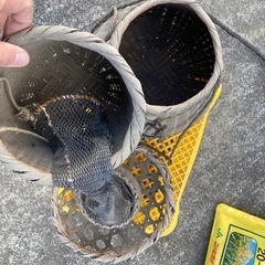 昭和レトロ　漁具　魚取り関係　かなり古いの画像