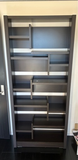 レイダー　L-850H DBR