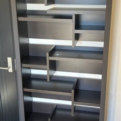 レイダー　L-850H DBRの画像