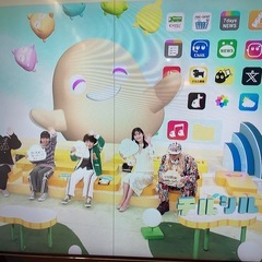 40インチ液晶テレビ（線入り）の画像