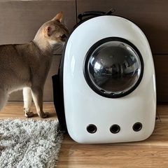 ペットキャリー差し上げます。辻堂の拙宅までお越しくださる方の画像