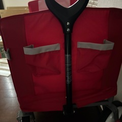 ラジオフライヤーアメリカ購入の画像