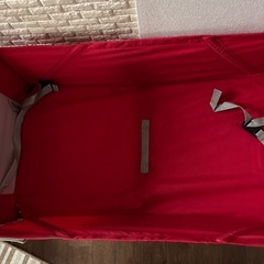 ラジオフライヤーアメリカ購入の画像