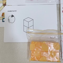 知研BOX 第T-5期 教材一式の画像
