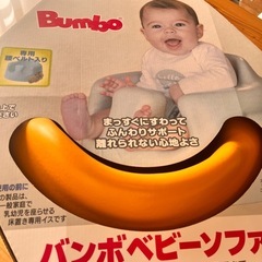 バンボ　美品　箱付きの画像