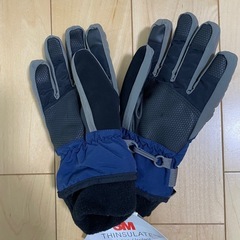 🧤グローブ　手袋の画像