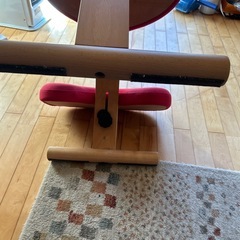 バランスチェアイージー 赤の画像