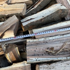 未乾燥広葉樹ミックス薪軽トラ1台5000円、の画像