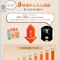 ホットマット 電気座布団 省エネ 丸洗い可 PSE認証済み 45*90cmの画像