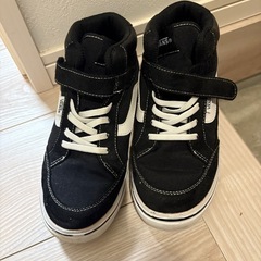 Vans スニーカーの画像