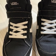 Vans スニーカーの画像
