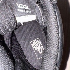 Vans スニーカーの画像